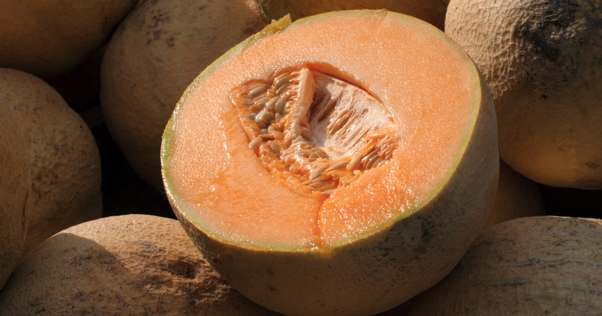 FDA recalls melon brands after salmonella infections double in a week