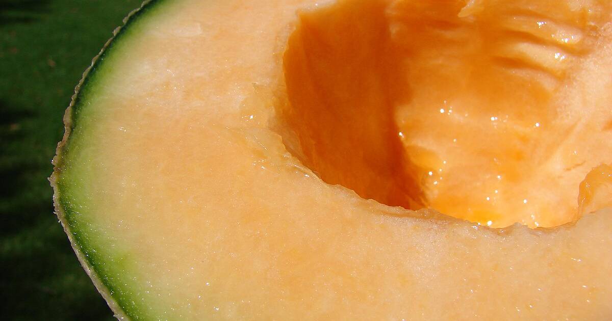 Health of Sonora rules out that there is an outbreak of salmonella in exported melons