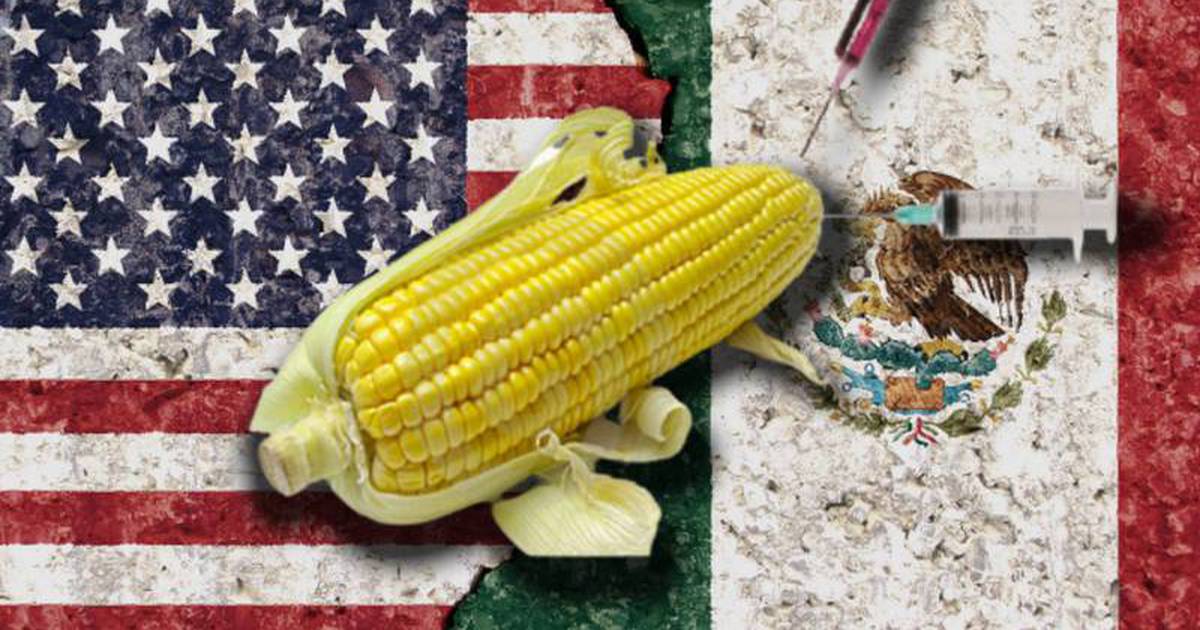 Transgenic corn: Mexico's ban is for political reasons, not health reasons, argues the US