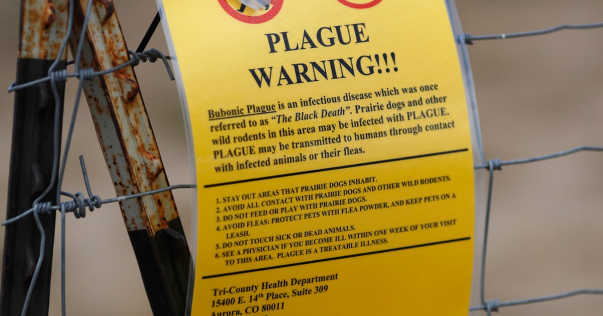 Oregon resident diagnosed with bubonic plague, who is at risk?  Is it always lethal?