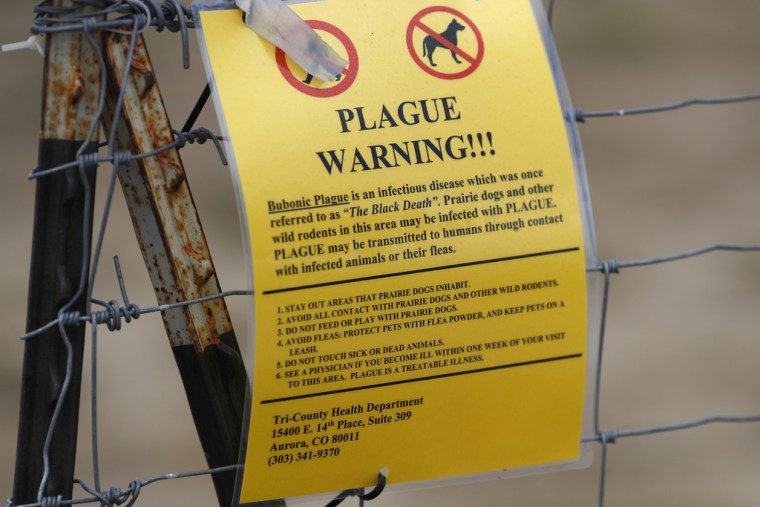 A sign warning about the plague is displayed in a park near the Rocky Mounty Arsenal Wildlife Refuge in the town of Commerce, Colorado, on August 10, 2019.
