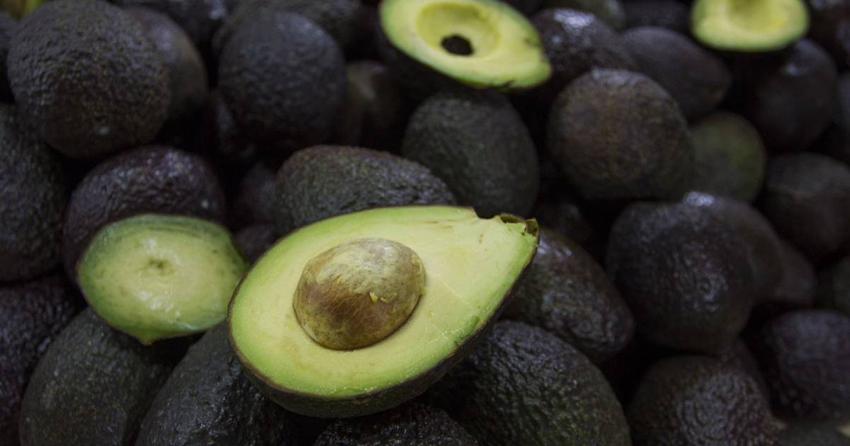 The US 'declares war' on Mexican avocados: Why is it asking to ban its import?