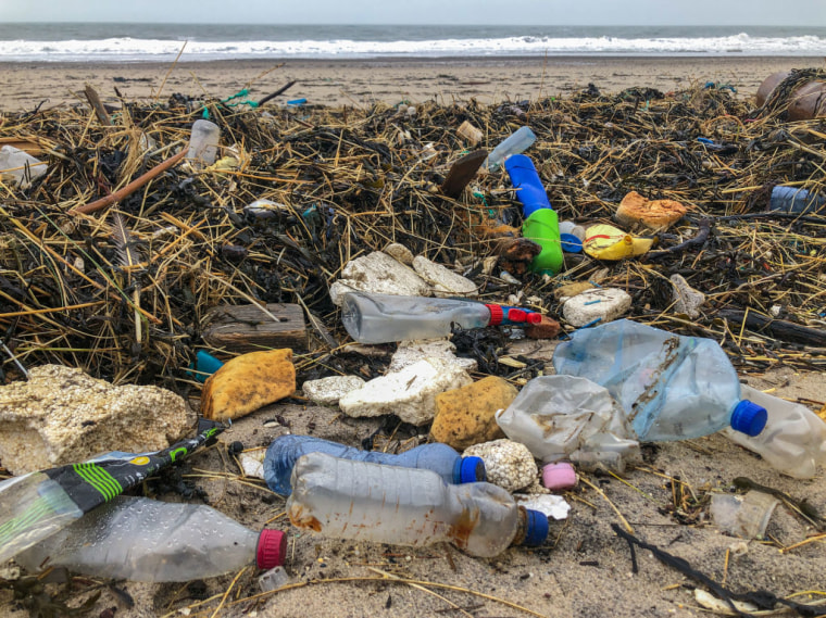 Plastic waste on the northern coast of Denmark.
