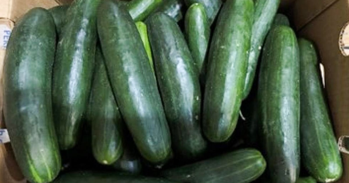 CDC links more than 50 hospitalizations to salmonella outbreak linked to cucumber consumption